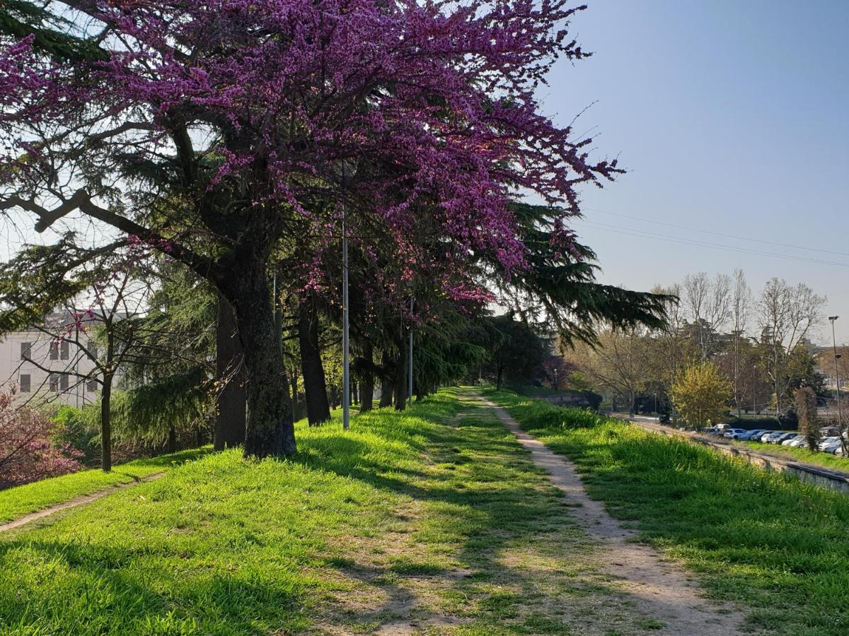 Ferienwohnung Divina San Zeno Verona Exterior foto
